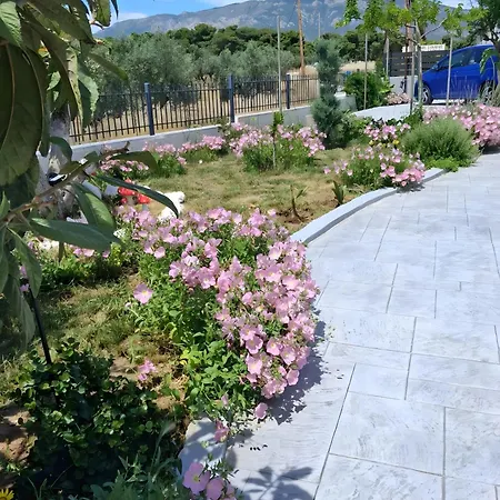 Olga's Modern Retreat,