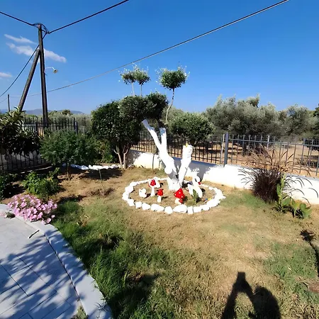 Olga's Modern Retreat,
