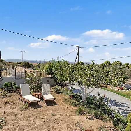 Olga's Modern Retreat,